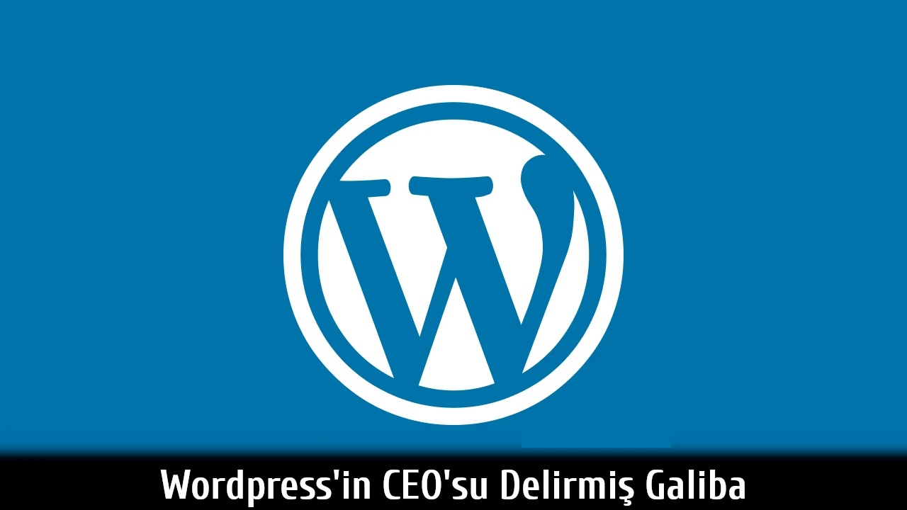 Wordpress'in CEO'su Delirmiş Galiba